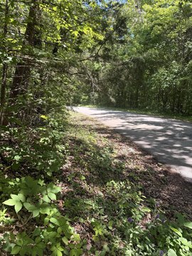LAND - Nancy, KY