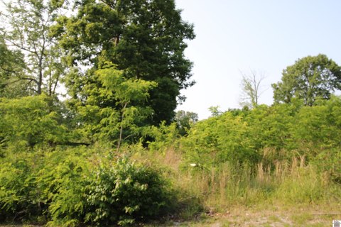 Residential Development Land Lots