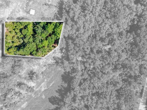 Land, WEBSTER, FL