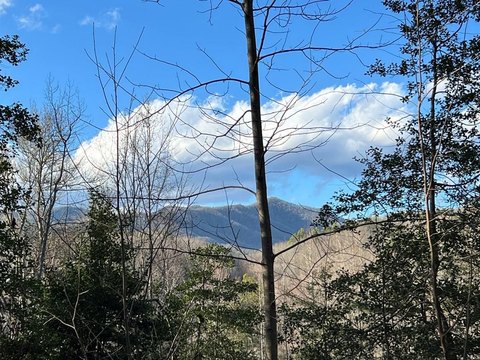 Hayesville, NC Wooded Lot