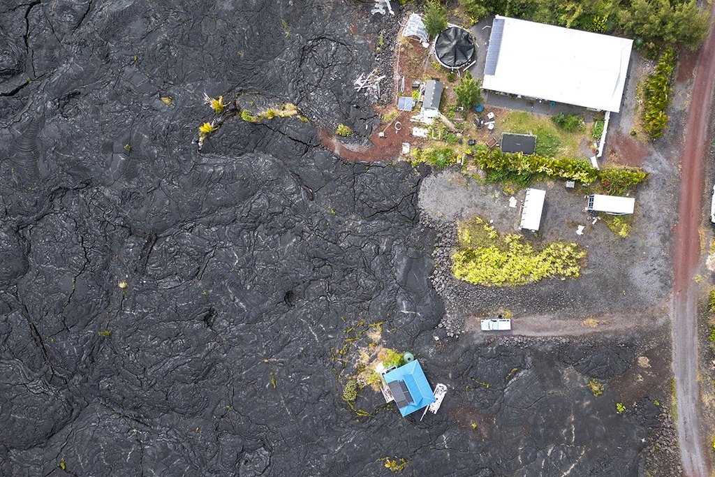 Picture 8