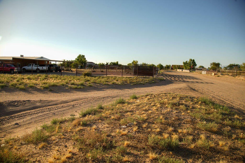 Picture 14