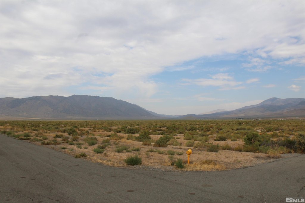 Picture 22