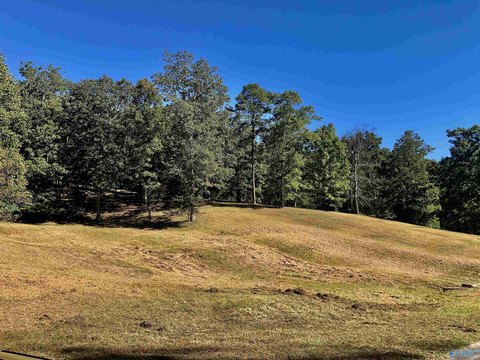 Land, Gurley, AL