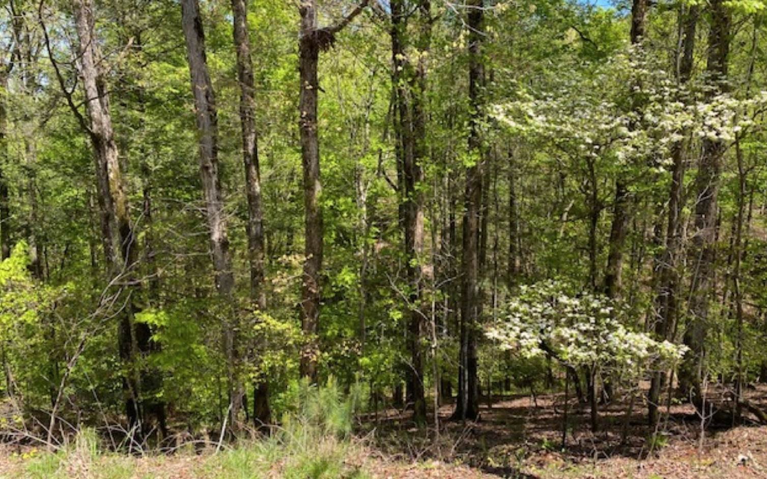 Ellijay Vacant Lot in Resort