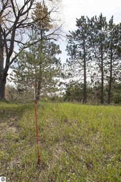 Vacant Lot/Land, Fife Lake, MI
