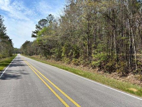 Homesite and Hunting Land Acreage