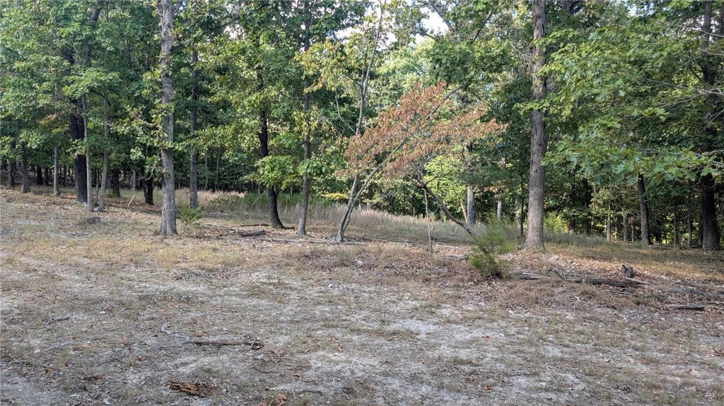 Picture 8