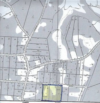 Vacant Land - Buchanan, TN