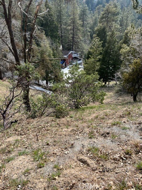Picture 3