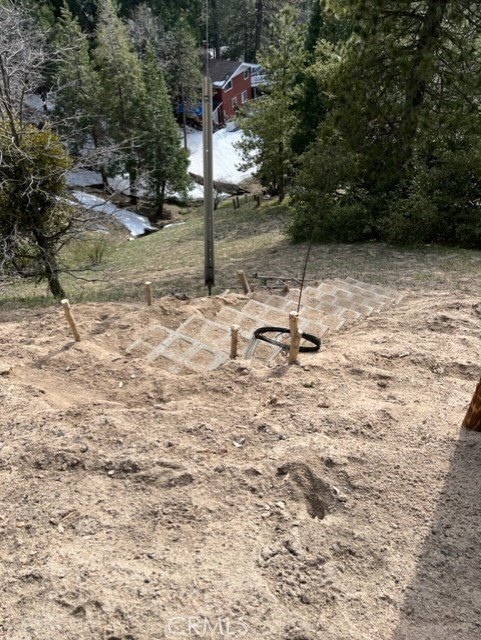 Picture 5