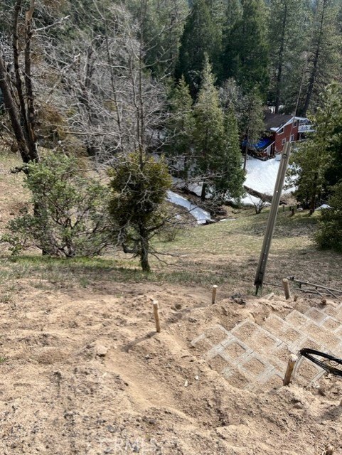 Picture 4