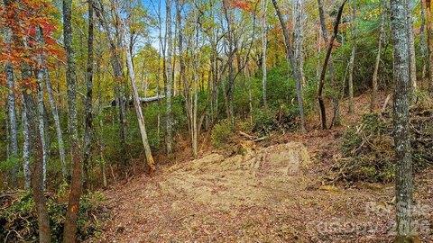 Lake Toxaway Homesite Ready to Build