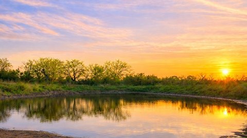 Fully Fenced Ranch And Hunting Land