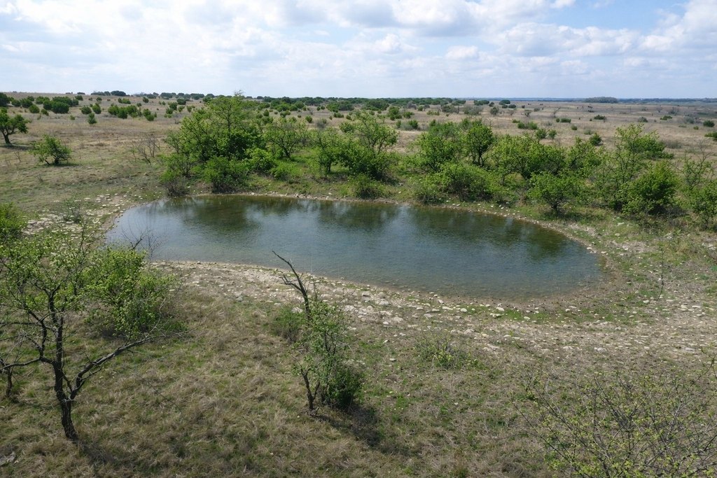 Picture 15