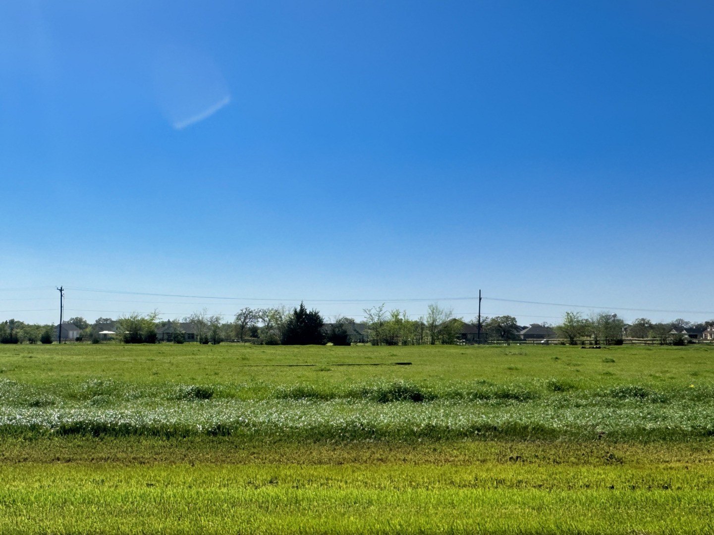 Residential Land in Iola, Texas