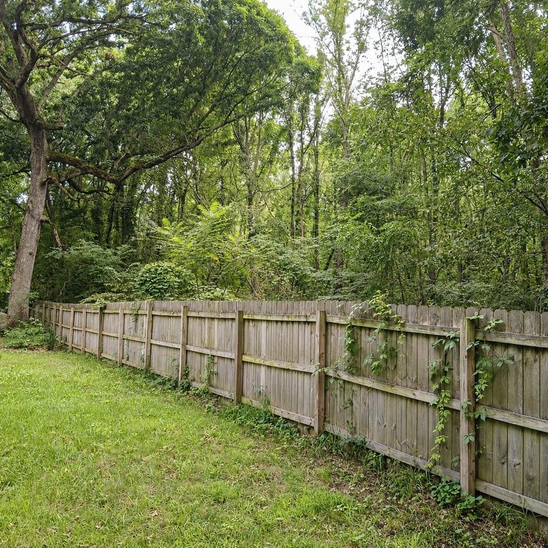 Picture 7