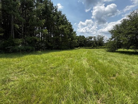 Nacogdoches Land with Timber