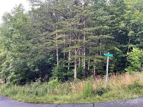 LAND - Hickory, NC