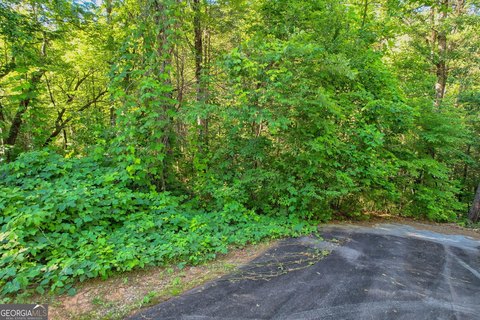 Residential Land Lot in Community