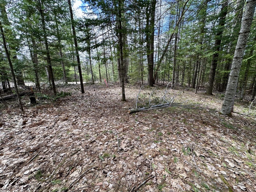 Picture 18
