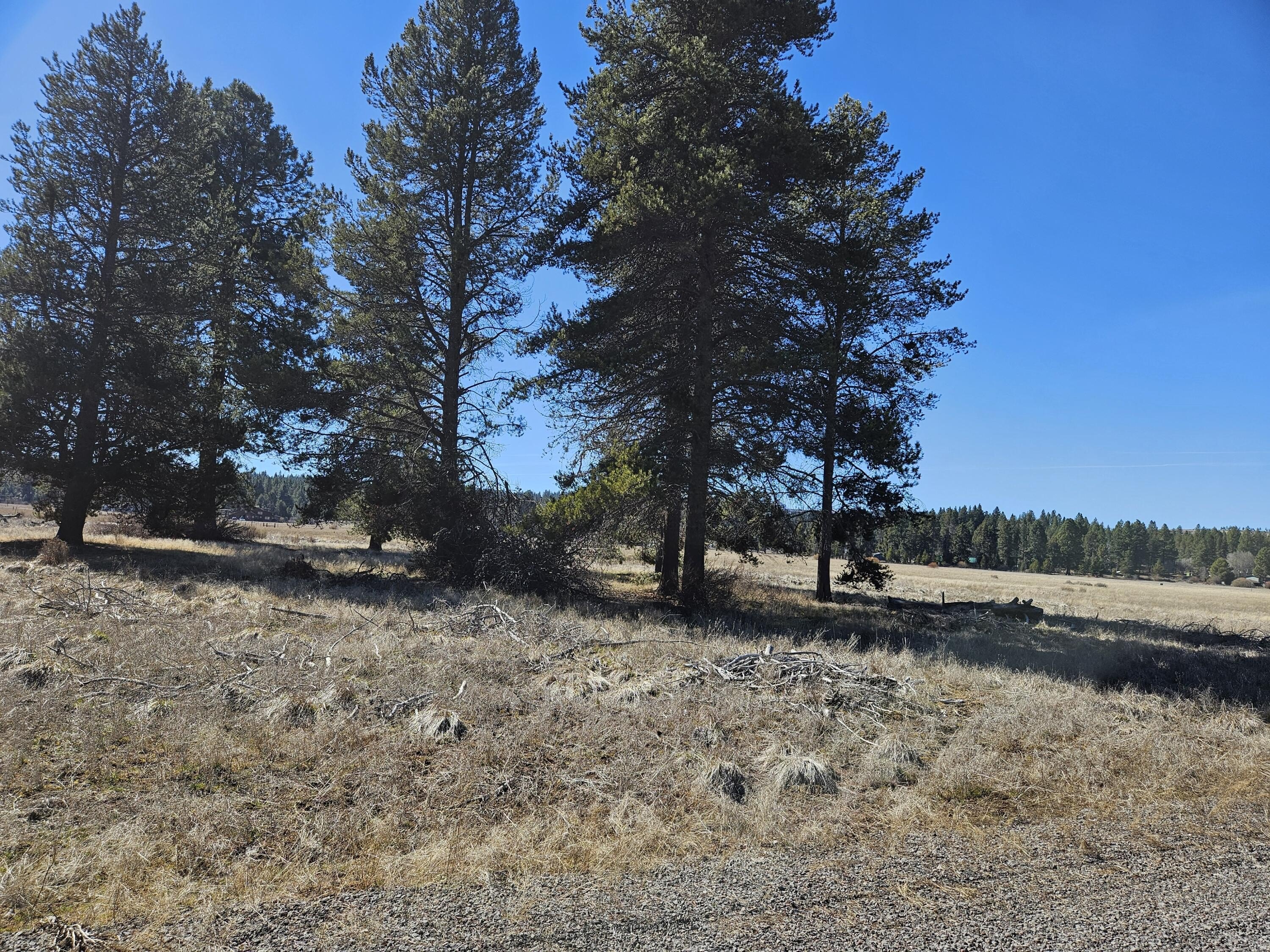 Chiloquin Land For Sale