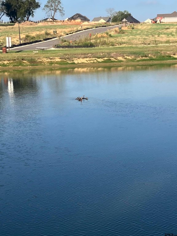 Picture 24