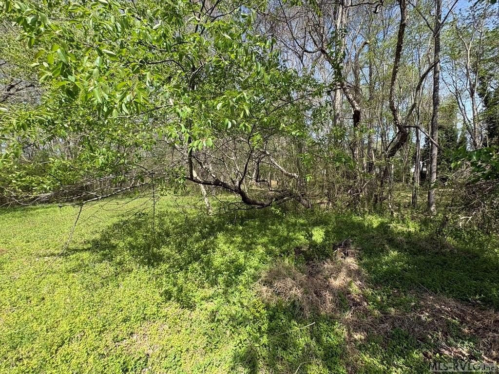 Picture 22