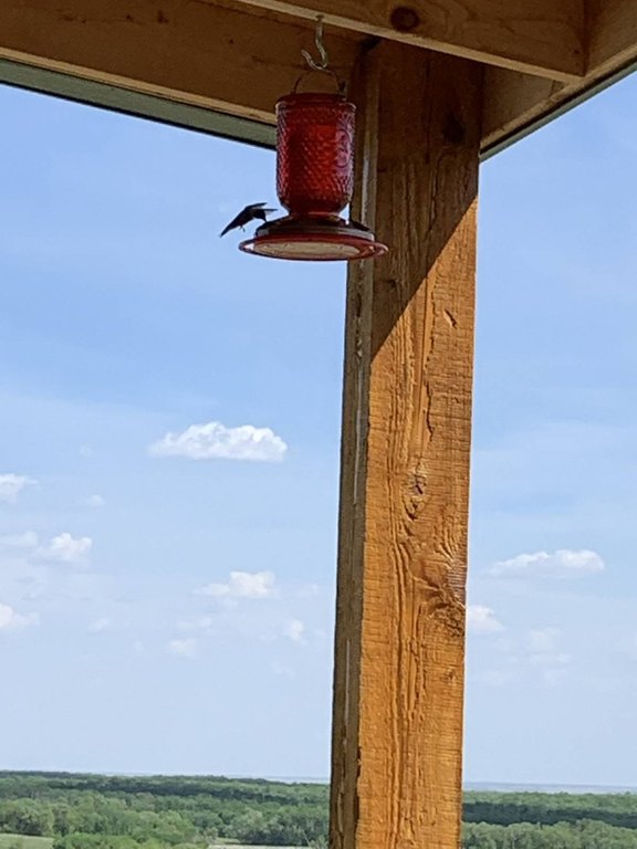 Picture 20