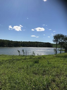 Hunting Land with Private Water