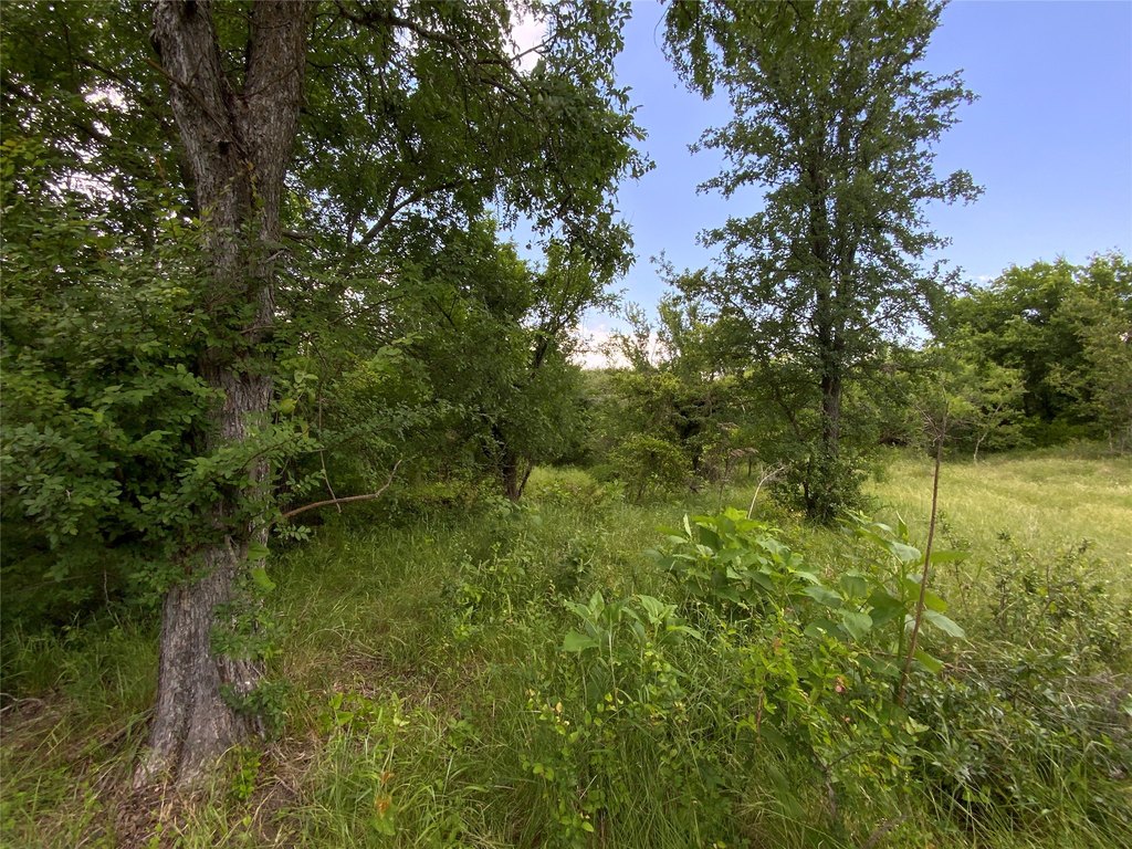 Picture 18