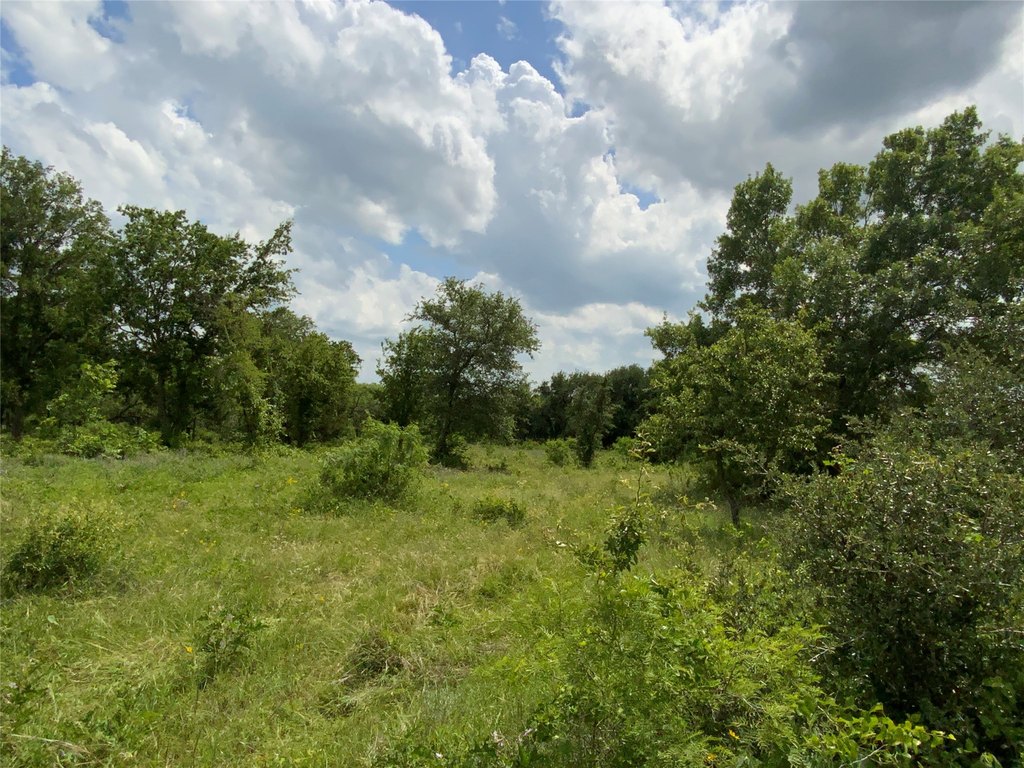 Picture 23