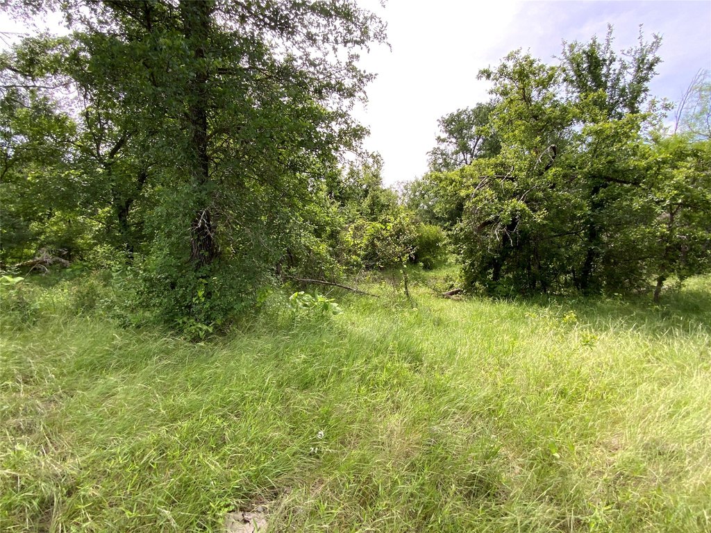 Picture 14