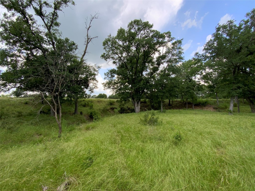 Picture 19