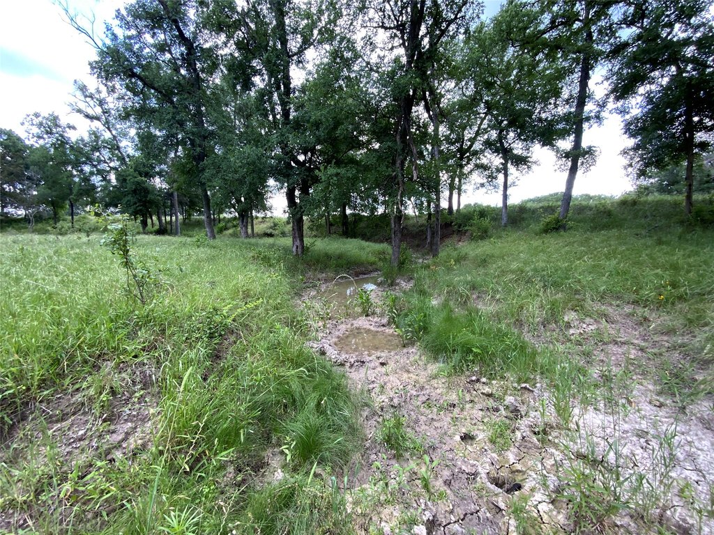 Picture 12