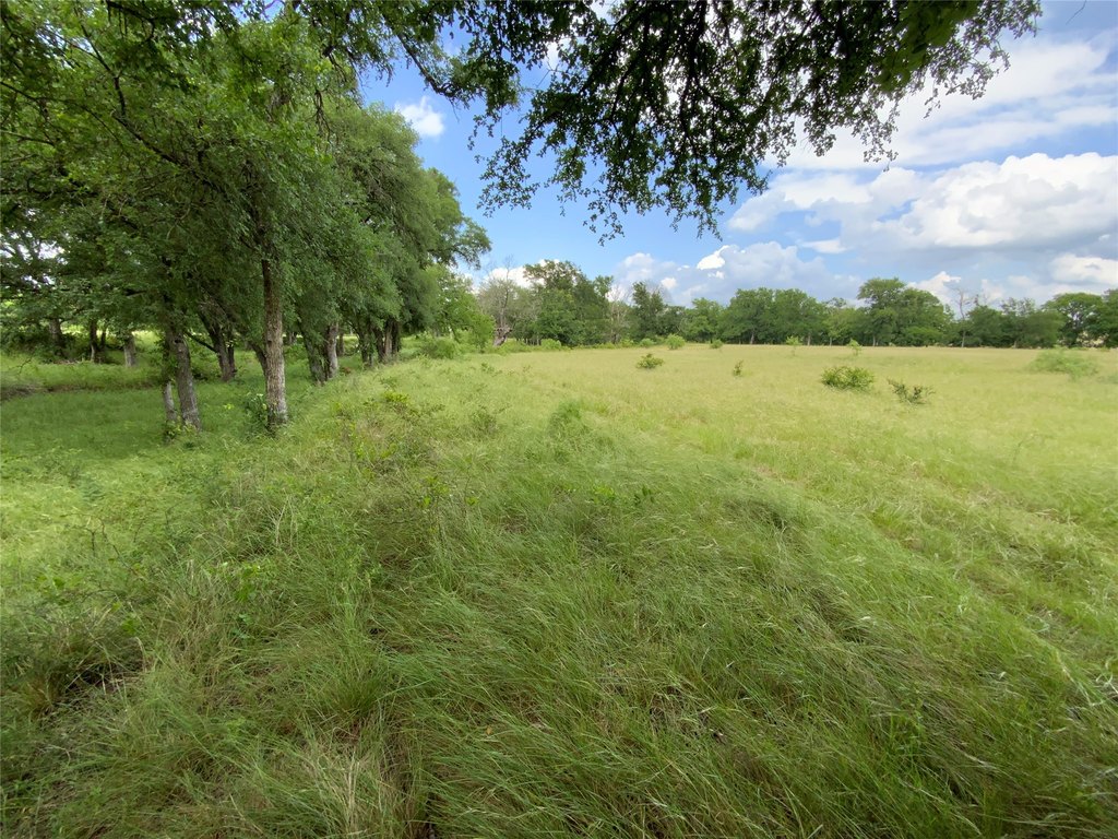 Picture 22