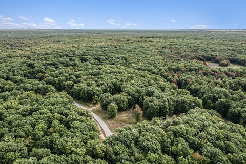 Wooded Building Site Near Lakes