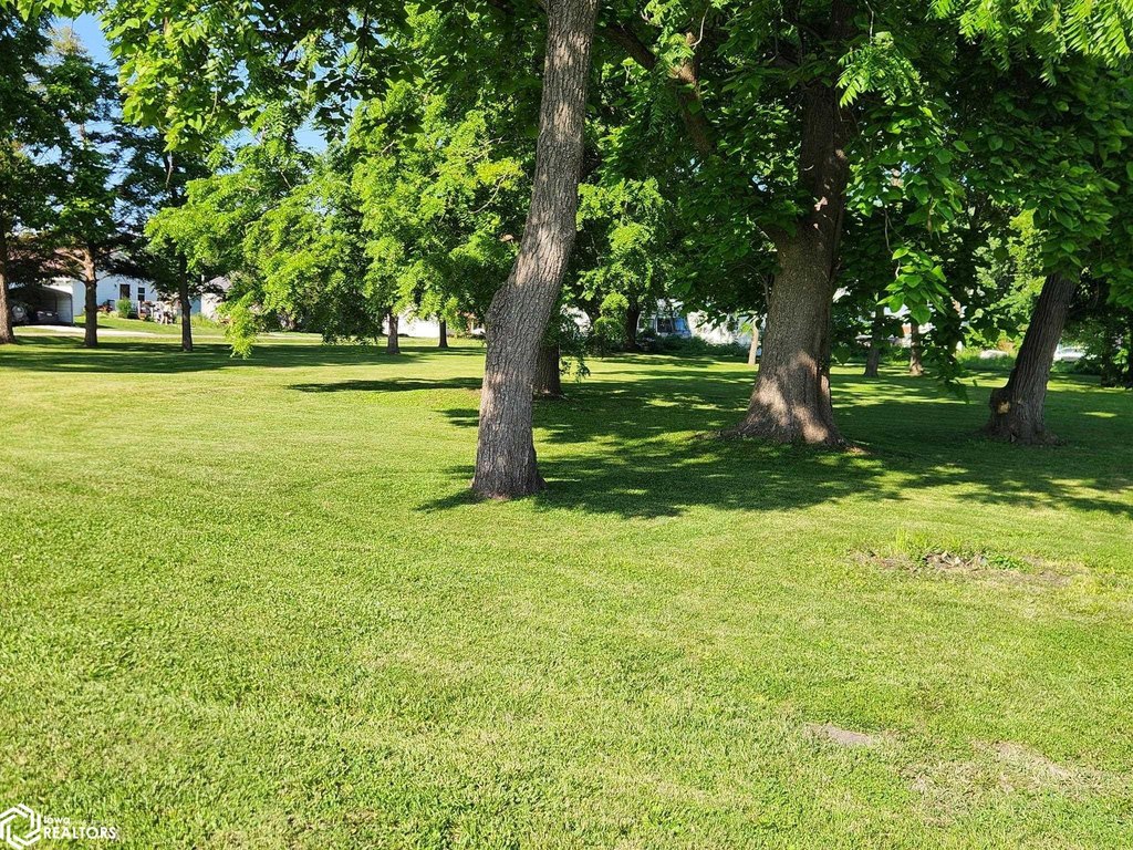 Picture 7