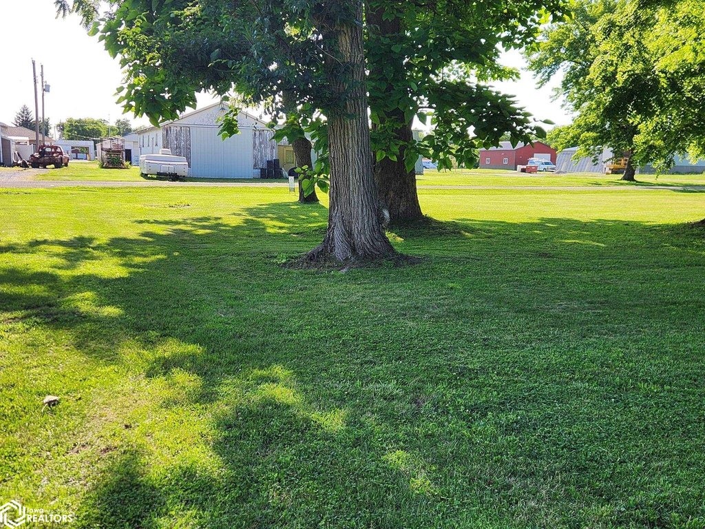 Picture 6