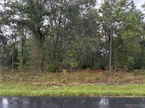 Land, Citrus Springs, FL