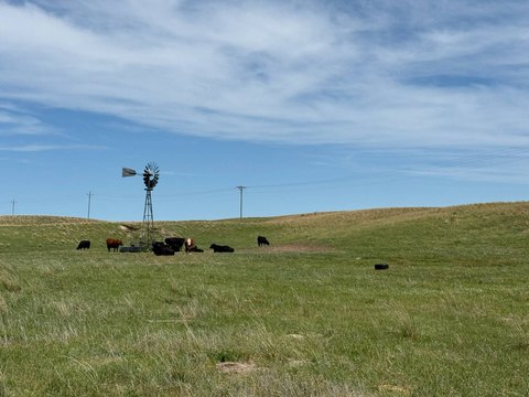 Sandhills Grazing and Hunting Land