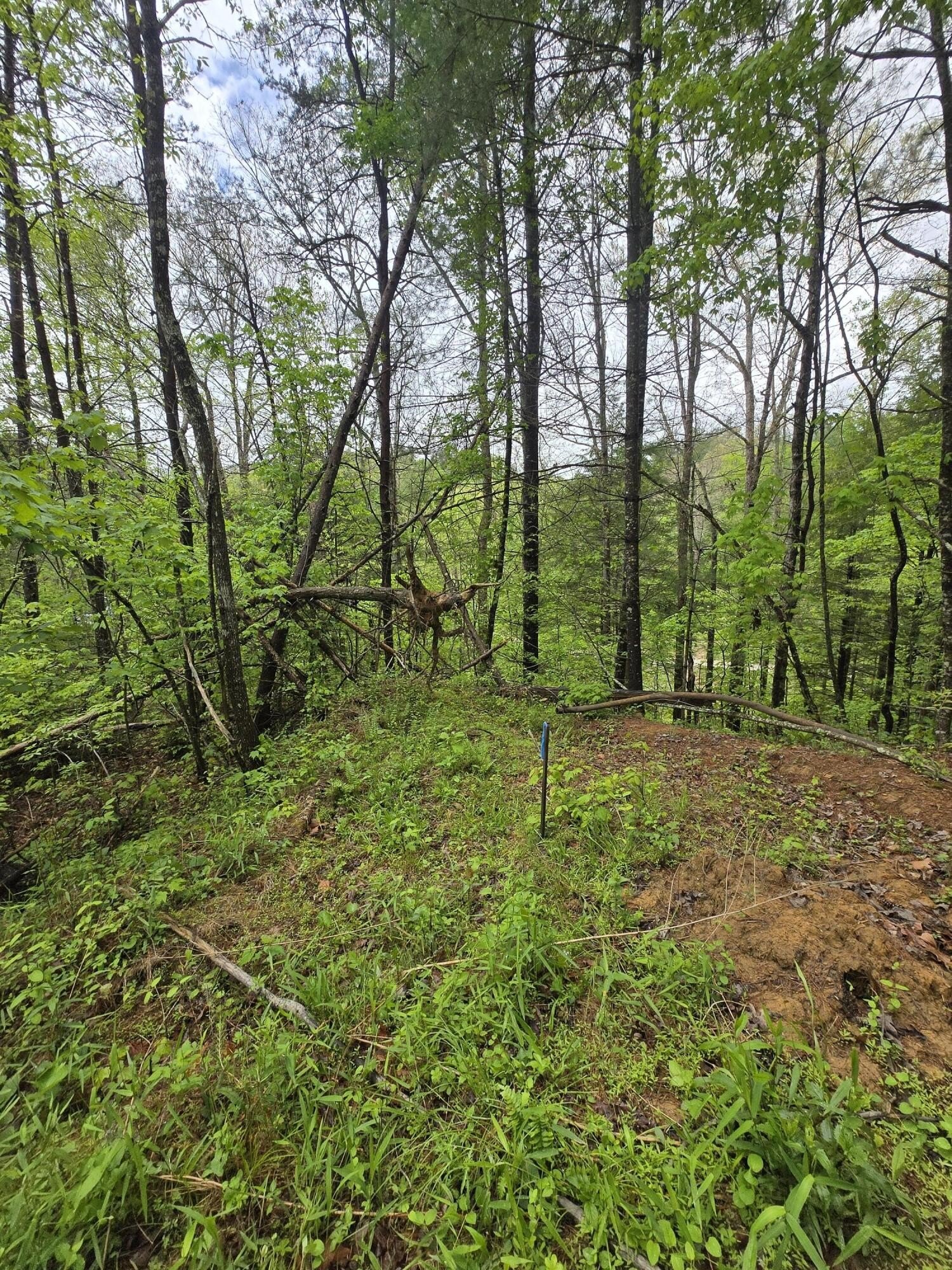 Wooded Lot Near Red River