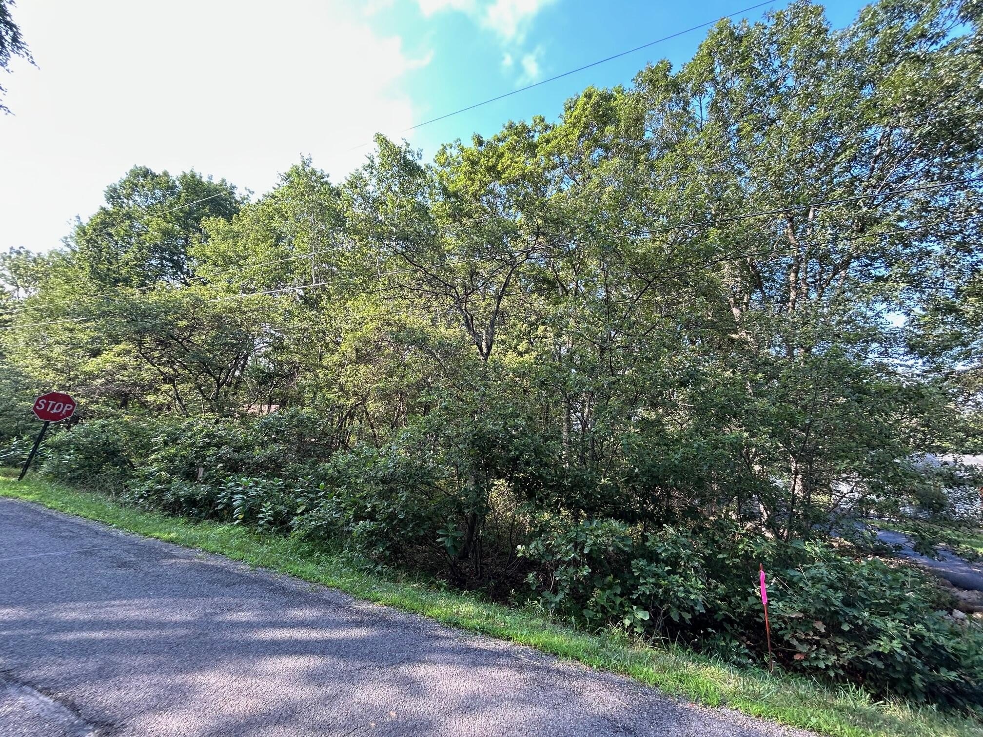 Wooded Lot Penn Forest Streams