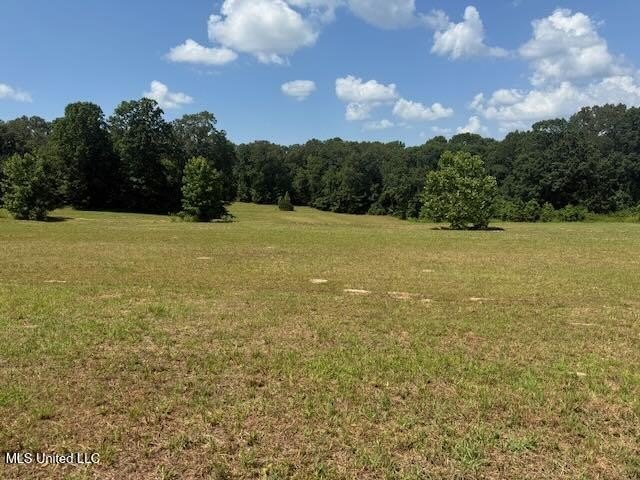 25 Acres Near Sardis Lake