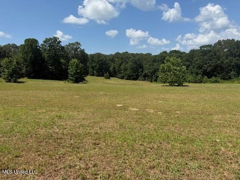 25 Acres Land in Holly Springs