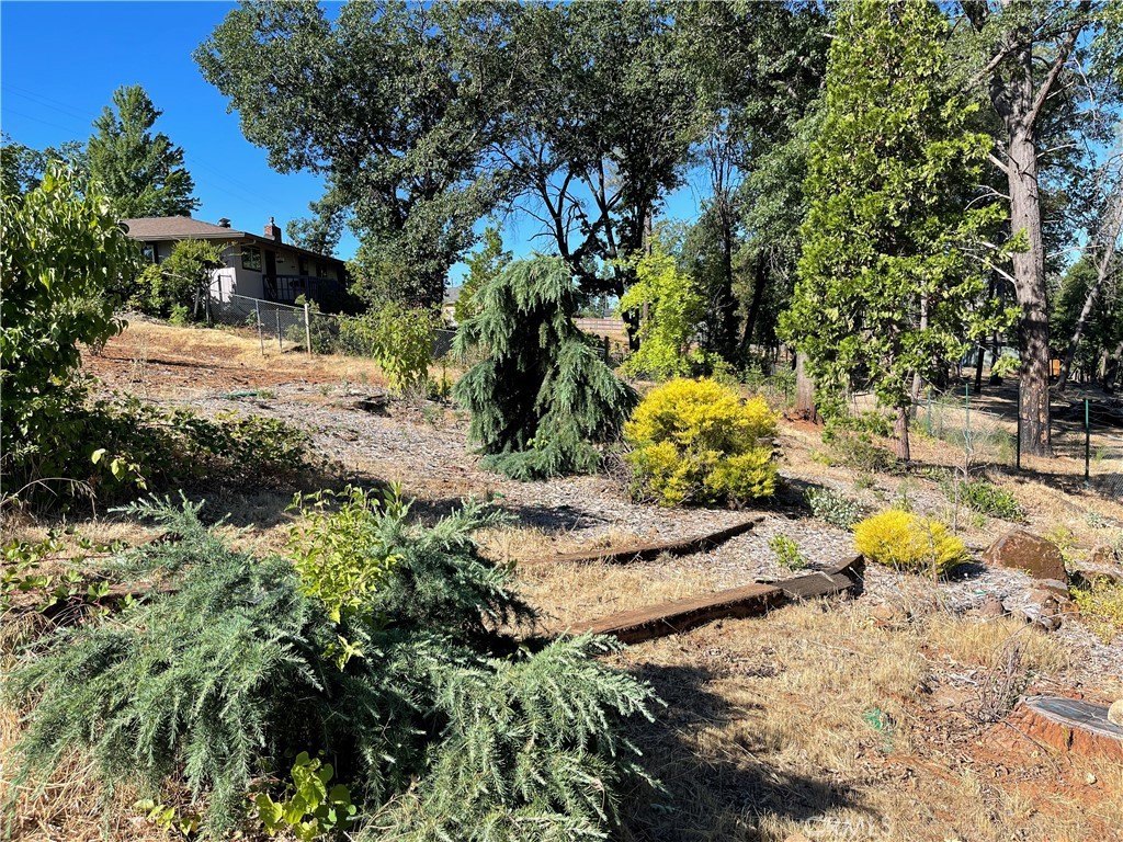 Residential Lot in Paradise, CA