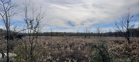 133 Acres of Unimproved Land