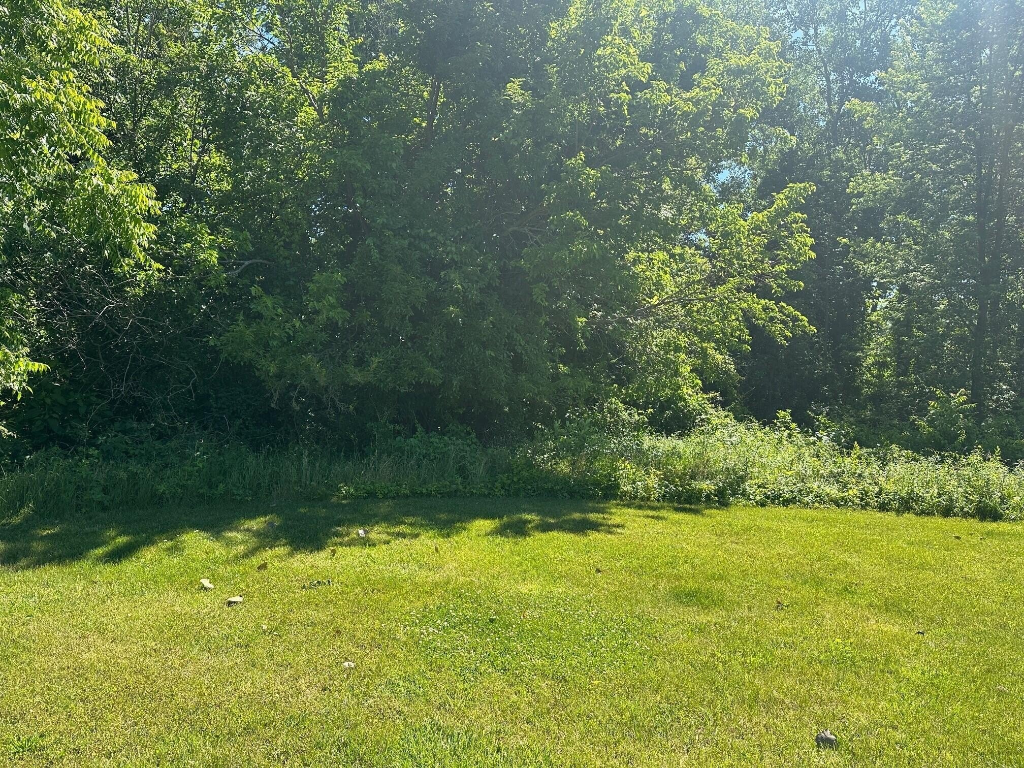Residential Lot in New Buffalo
