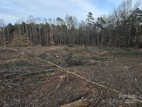 20 Acres of Untouched Land