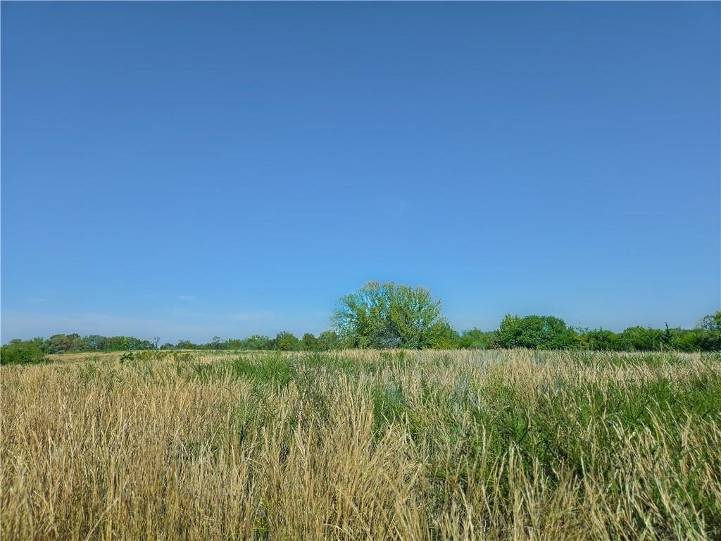 Picture 7